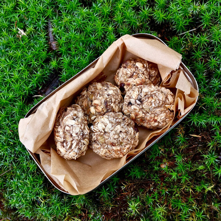 hanna olvenmark feet 5