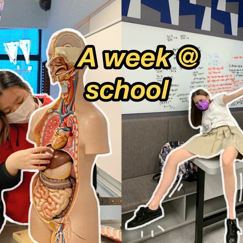 hanna vanharanta feet 4