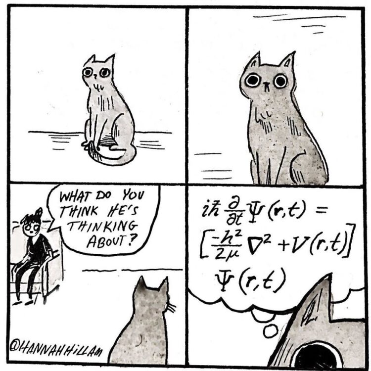 hannah hillam feet 6