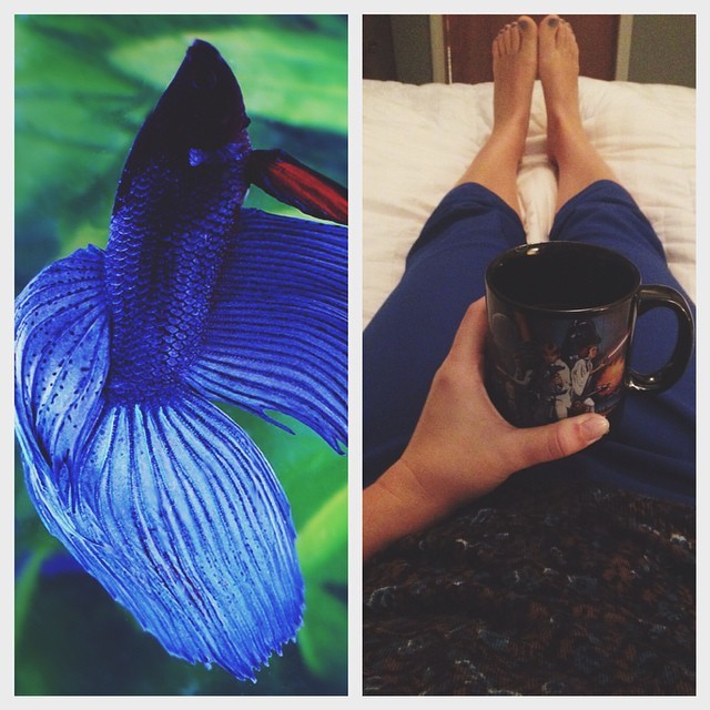 hannah huston feet 4