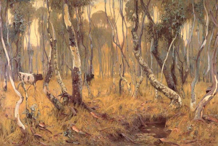 hans heysen feet 6