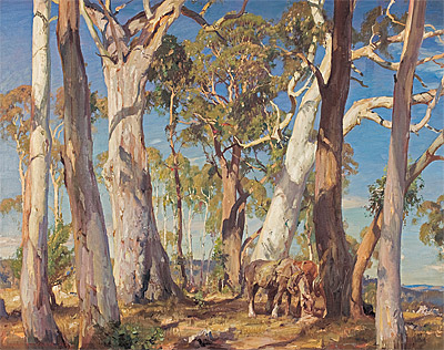 hans heysen feet