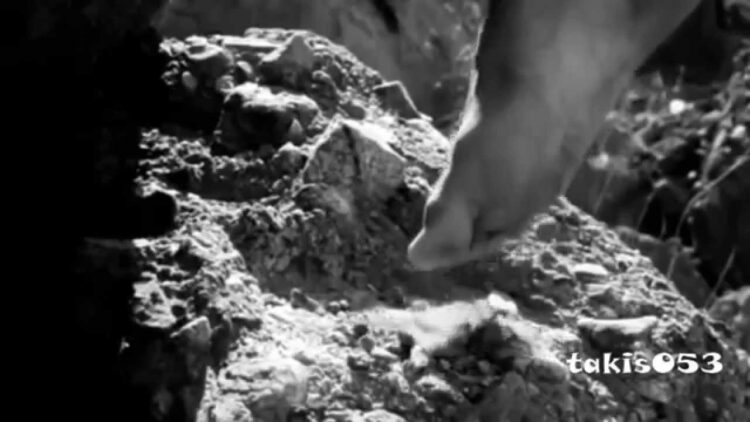 haris alexiou feet 4