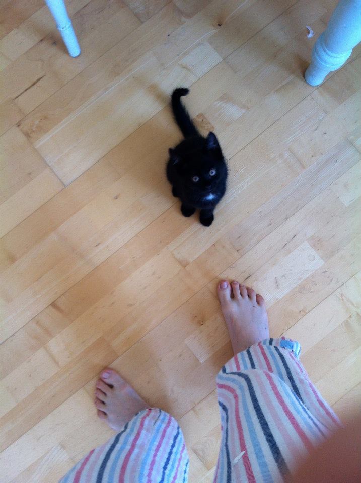 hattie morahan feet 2