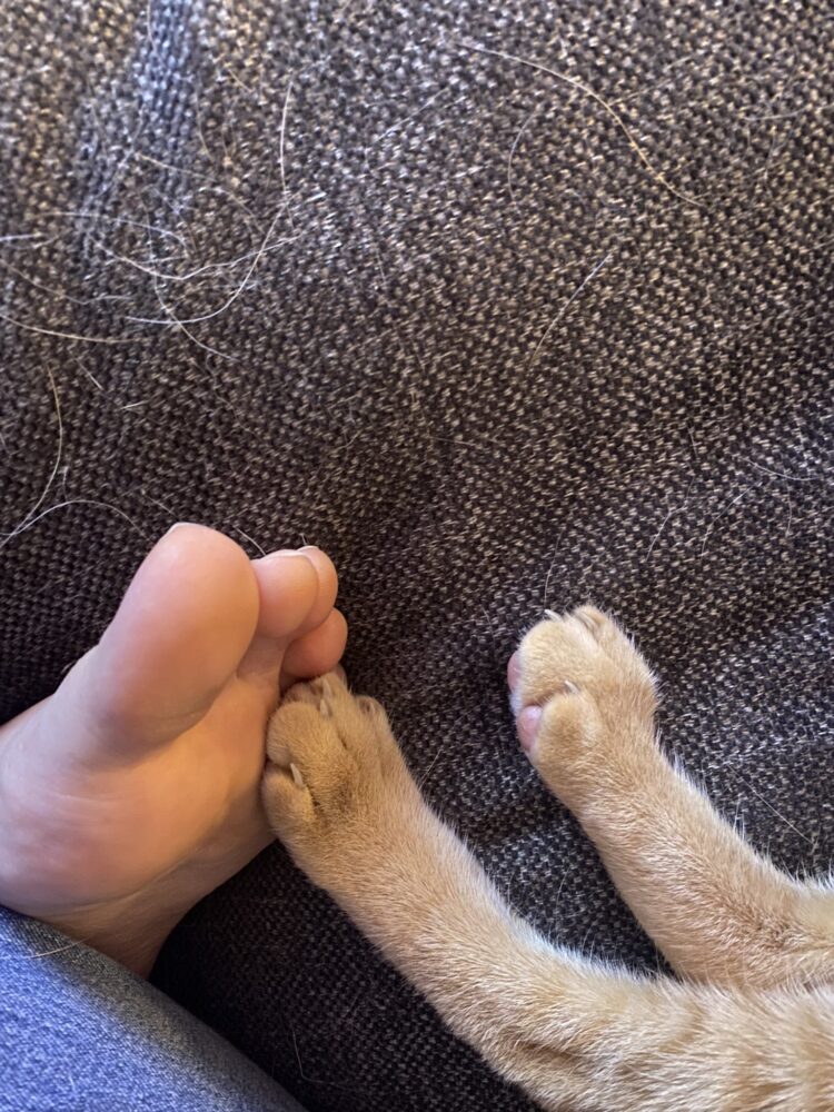 hayden daviau feet 3