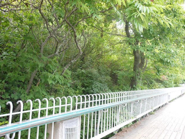 heather arnett feet 2