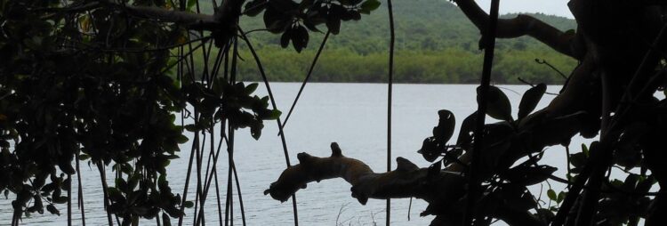 heather arnett feet 4