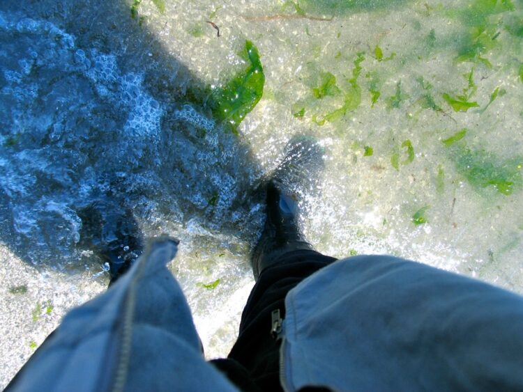 heather corinna feet