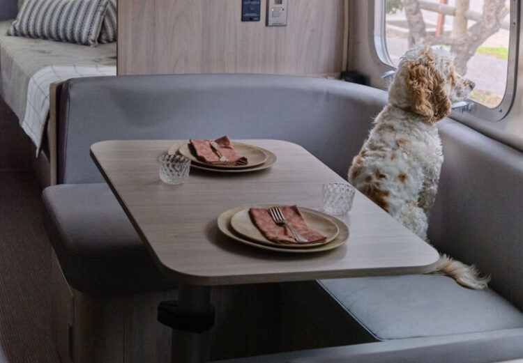 heidi swanson feet 6