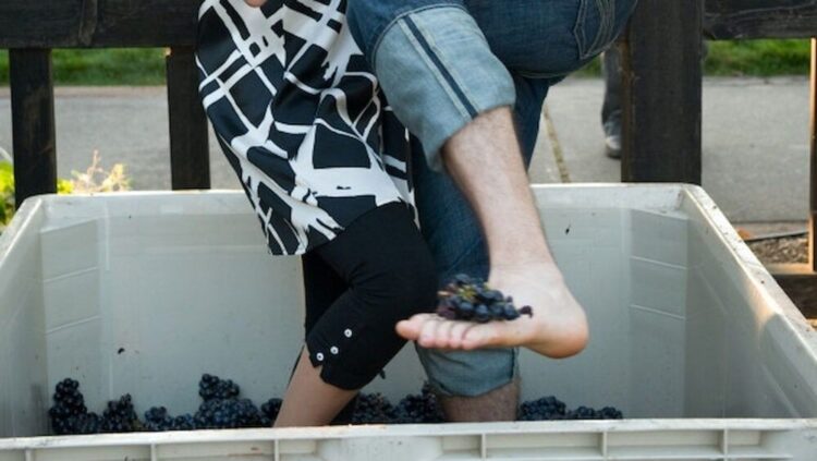 helena massaro feet 3