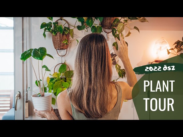 herczeg hajni feet 5