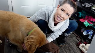 heythatsholly feet 5