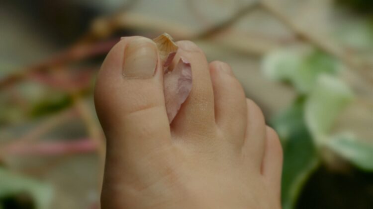 holly earl feet scaled