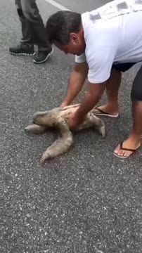 homa mohammadi feet 1