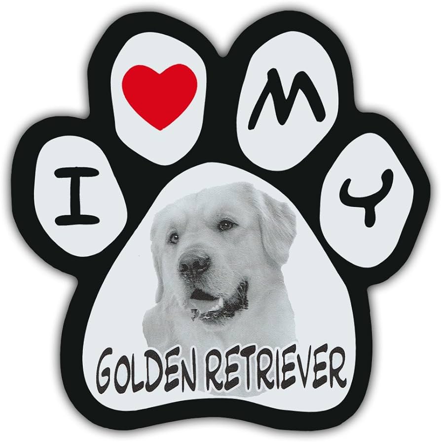 i love golden retrievers feet