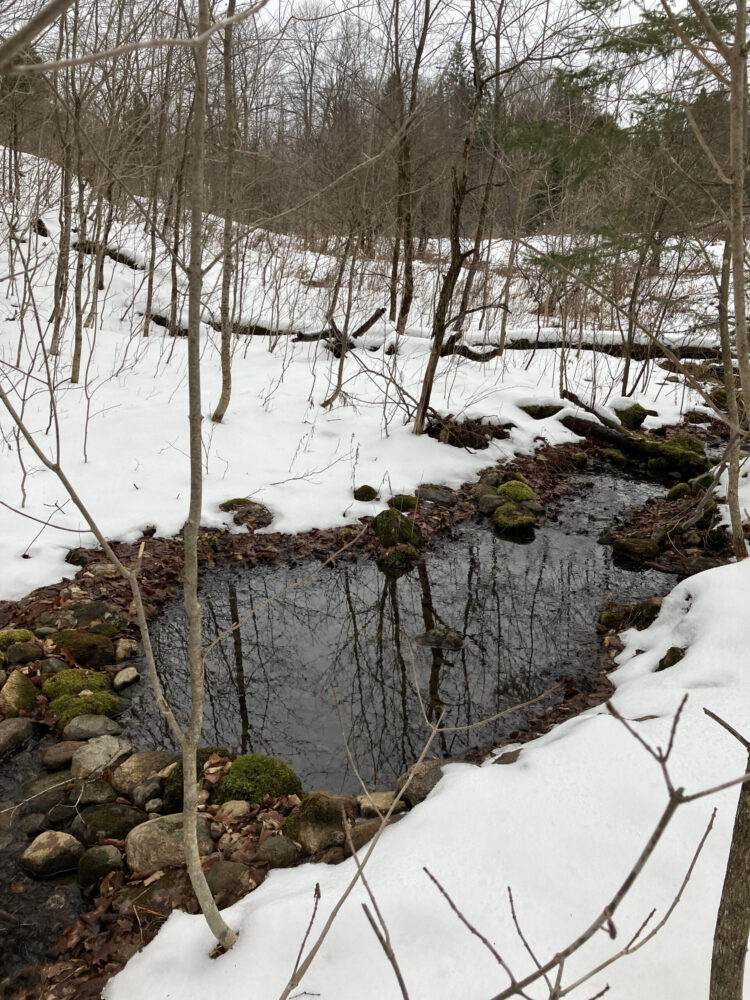 ian kinross feet 1 scaled