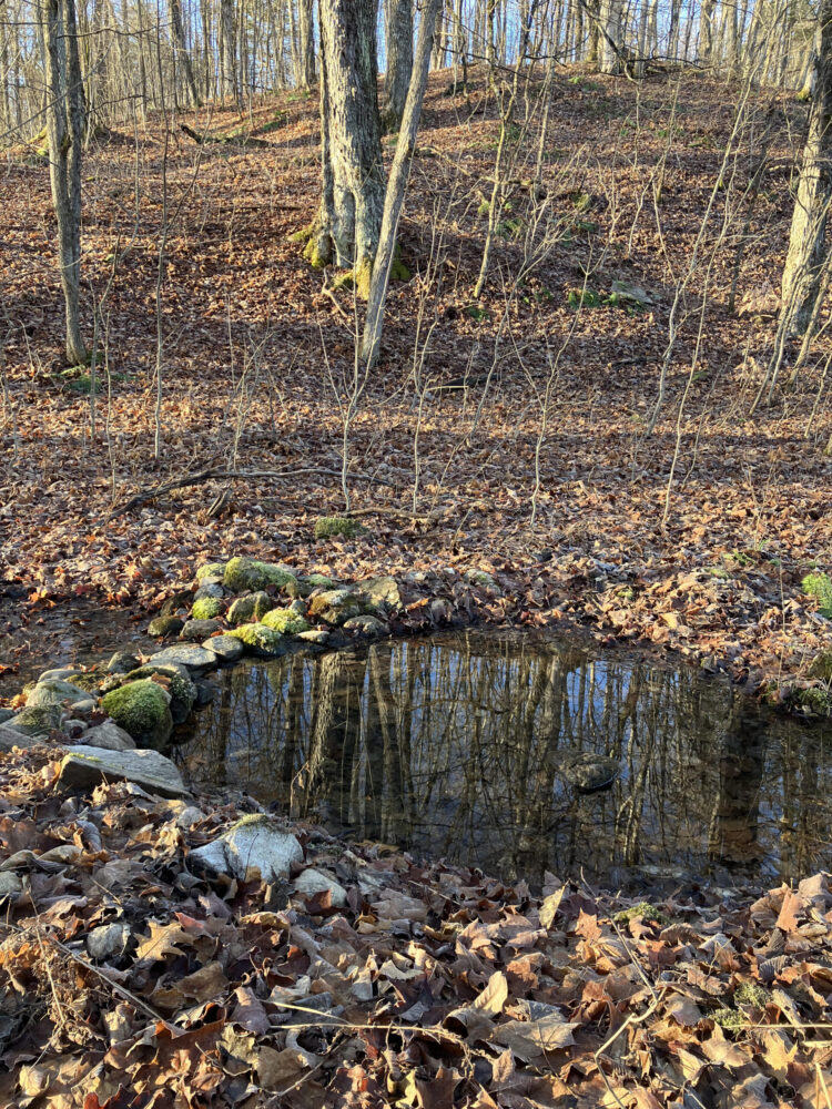 ian kinross feet 3 scaled