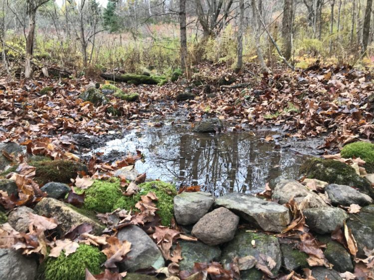ian kinross feet 6 scaled