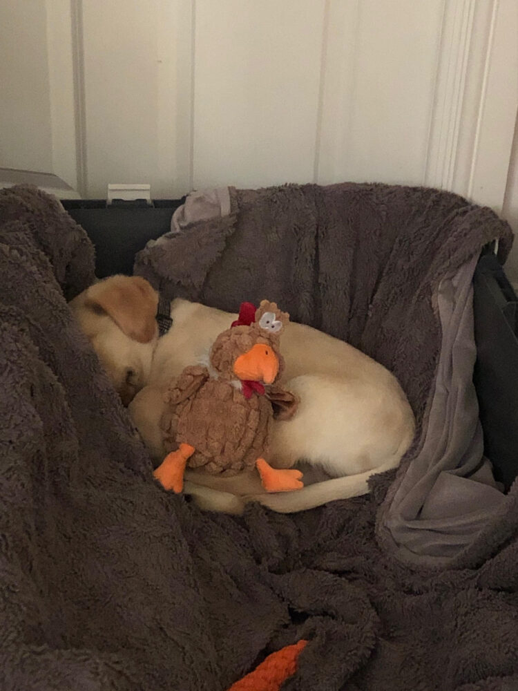 ian litomatoma feet 3