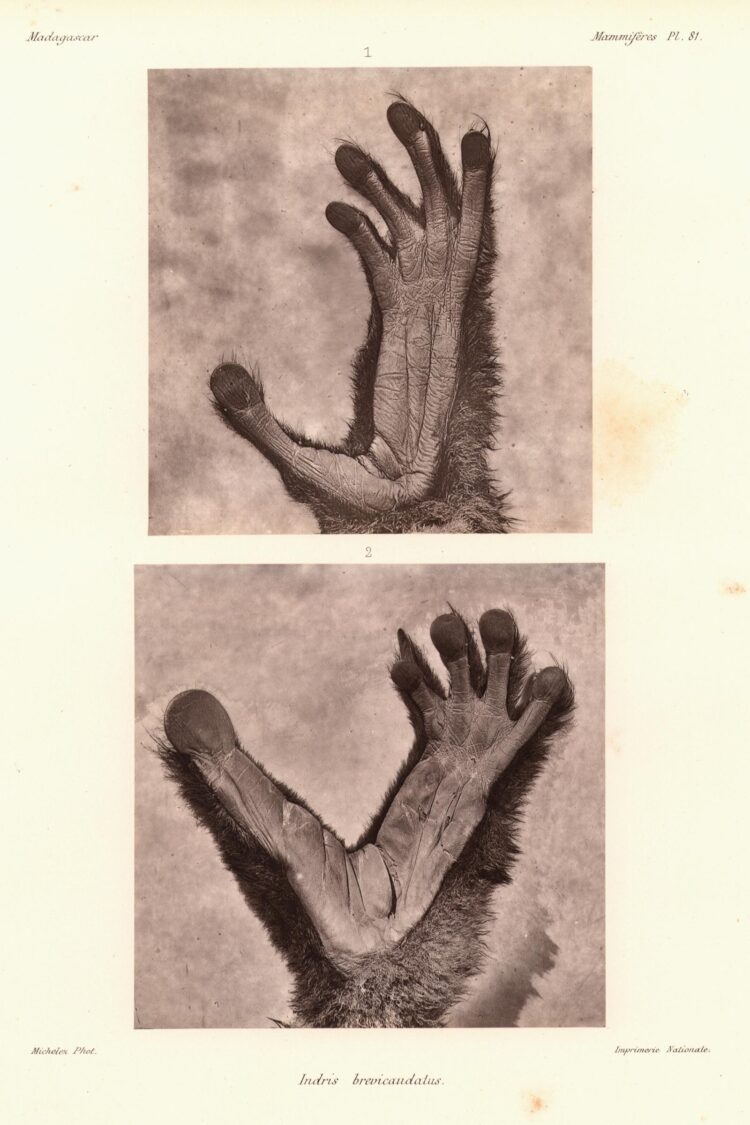 indri indawati feet 1