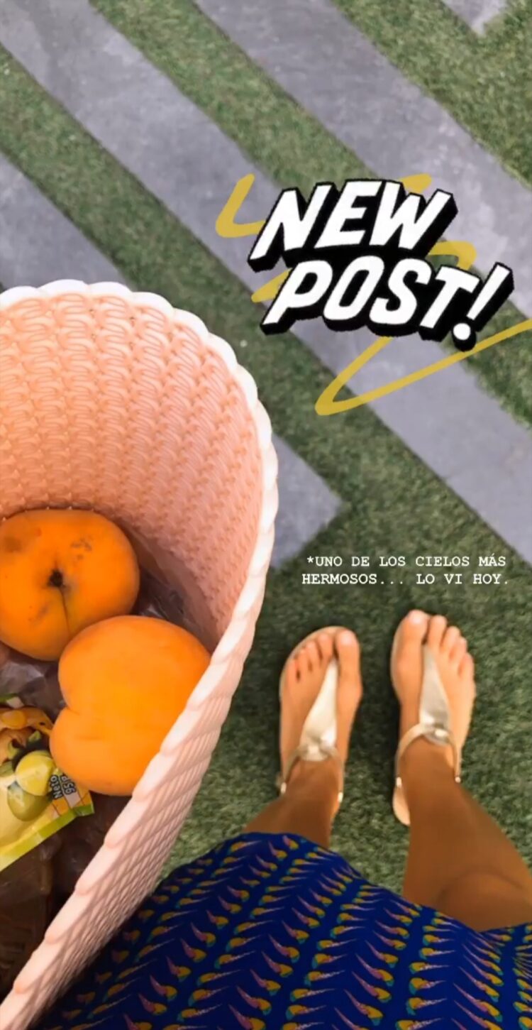 ingrid altamirano feet