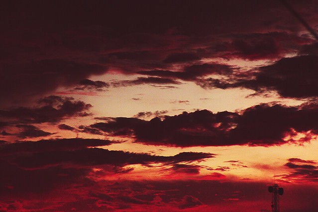 ingrid goncalves feet 6