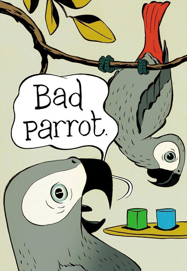 irene pepperberg feet 6