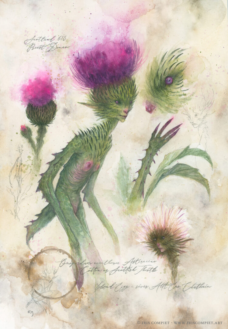 iris compiet feet 4 scaled