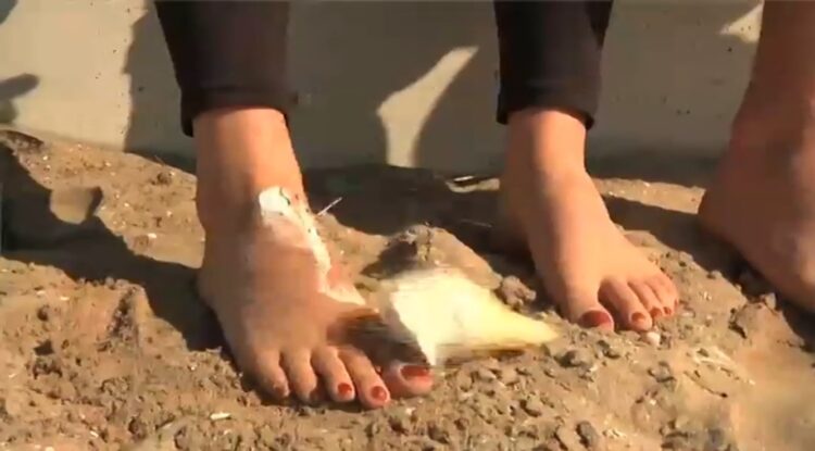 iris hesseling feet 1