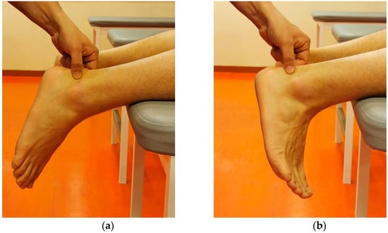 irm de bakker feet 6