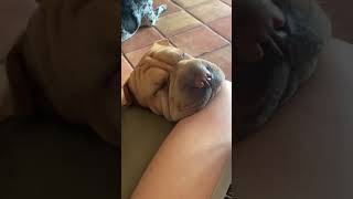 iry wallenholm feet 3