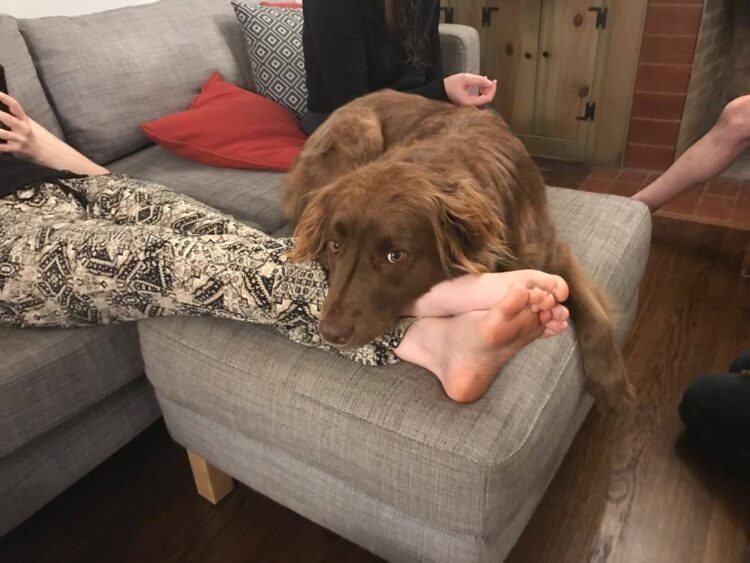 isabel oliver marcus feet