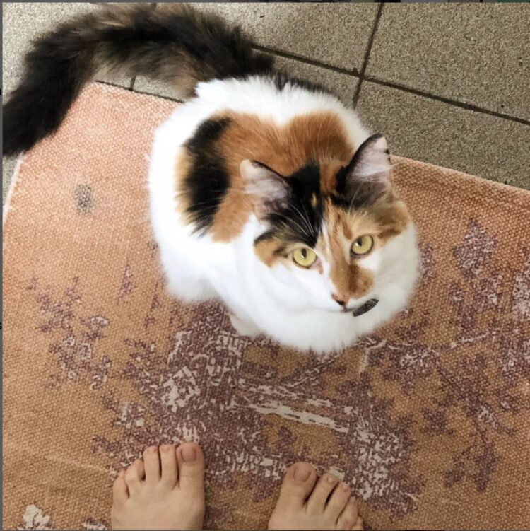 isabela garcia feet 2