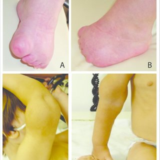 isabella bergamini feet 3