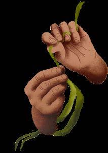 isabella londono feet 5