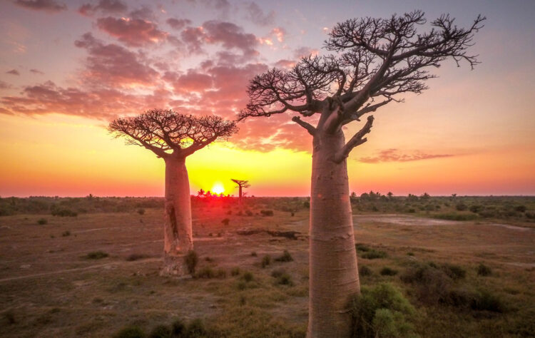 isabelle fabre feet 5