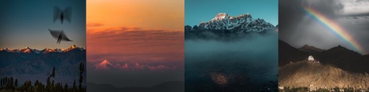 ishita dharnidharka feet 3