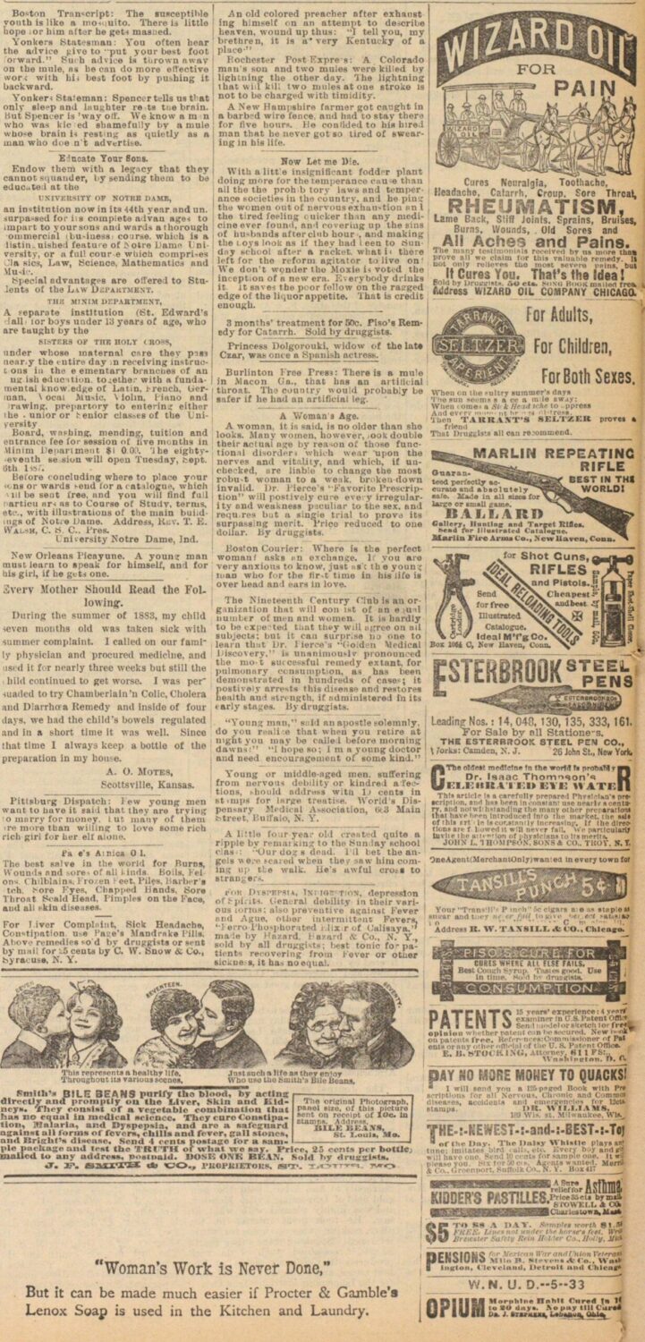 itscari feet 6 scaled