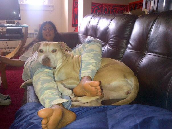 ivy supersonic feet 3