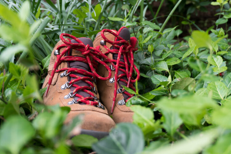 izzy mollicone feet 6