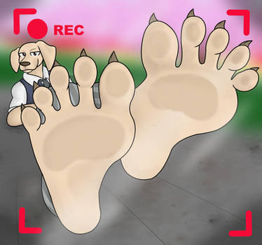 jac feet 5