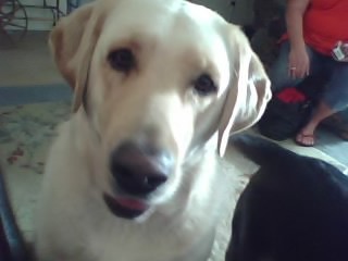 jackie flores feet 5