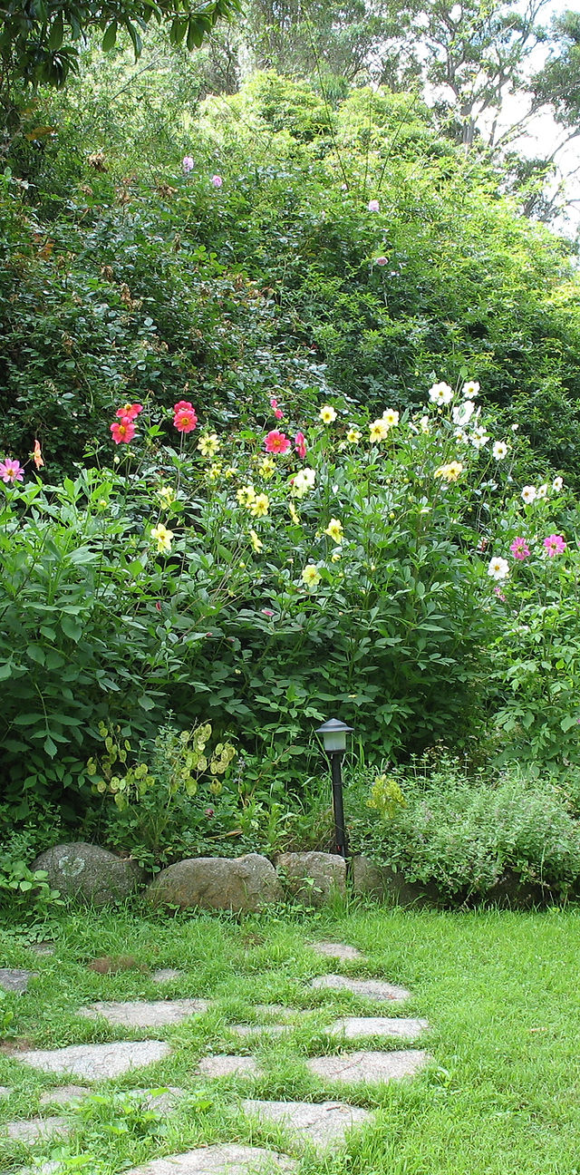 jackie french feet 5