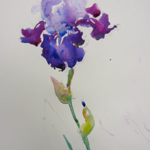 jackie saunders feet 5