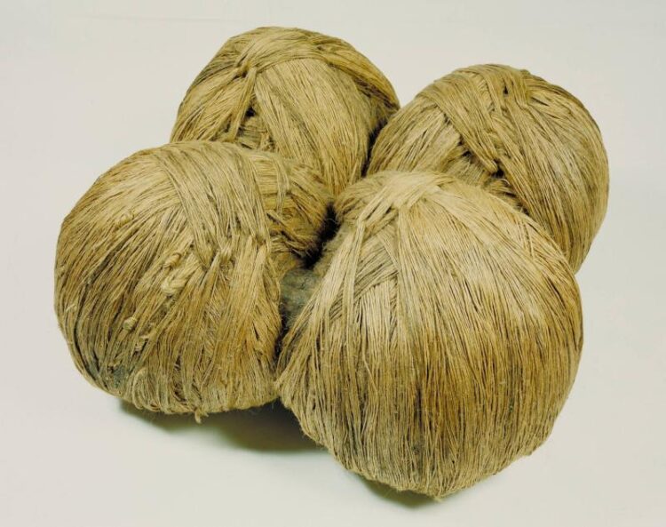 jackie winsor feet 2