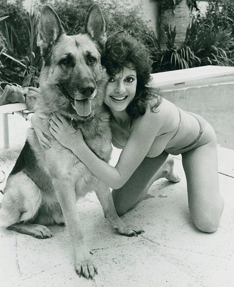 jacklyn zeman feet 5