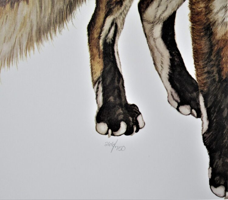 jacquie marie feet 2 scaled