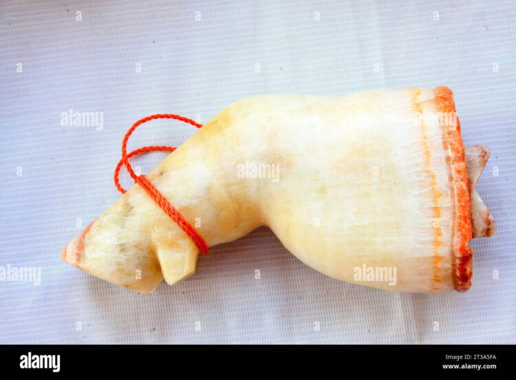 jade van weel feet 6