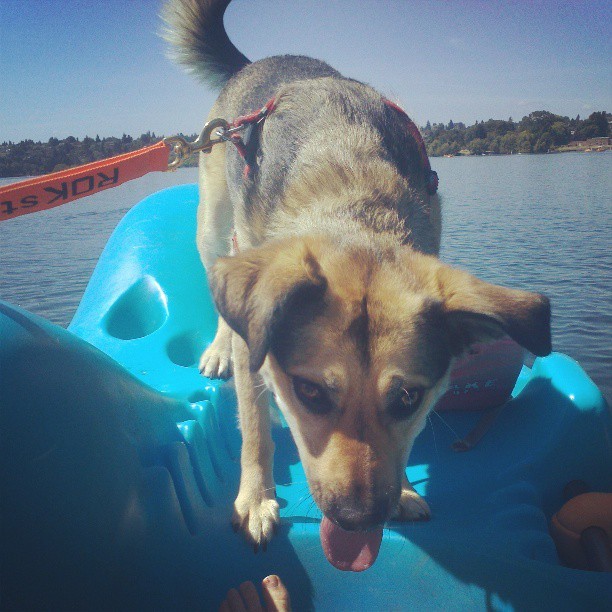 jaimee vitolo feet 4