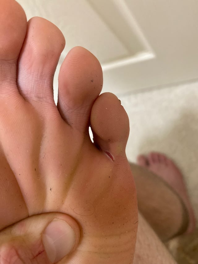 jamie e. taylor feet 4